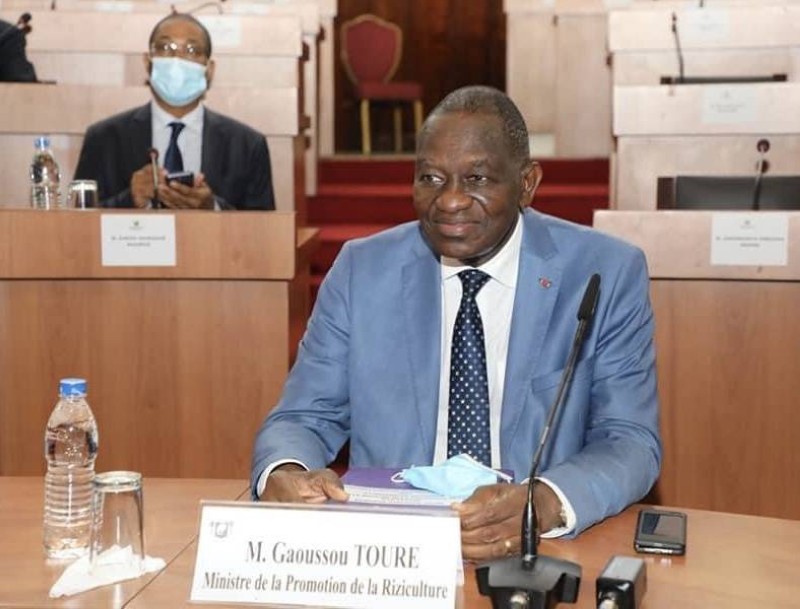 Gaoussou Touré, Ministre de la Promotion de la Riziculture