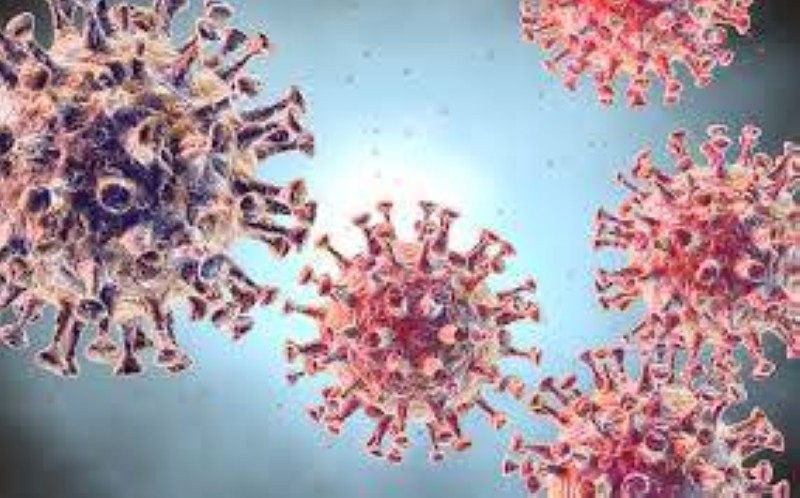 Coronavirus
