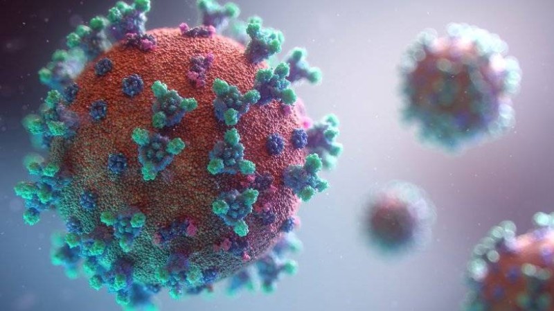 Le virus du Covid-19. (Photo : Dr)
