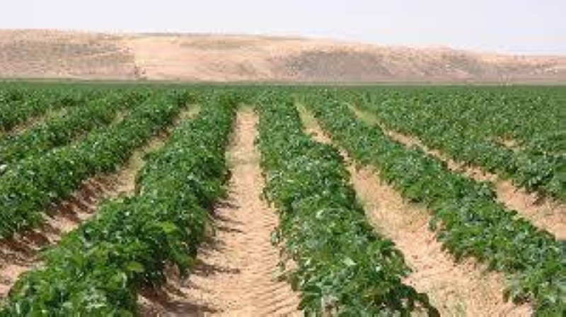 Une terre aride est une richesse que l'Afrique doit exploiter. (DR)