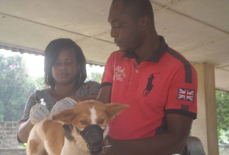 Cette campagne orientée vers les chiens et les chats s'inscrit dans le plan national d'éradication de la rage. (DR)