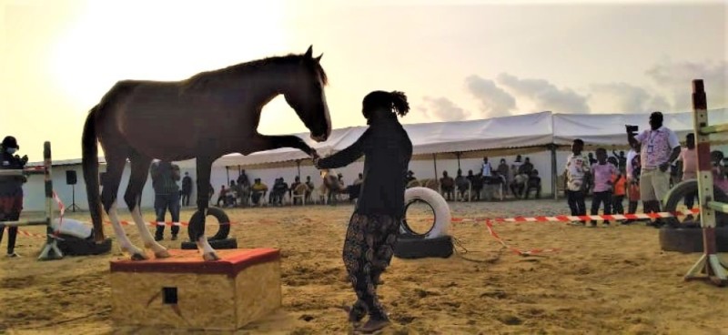 Camara Malahidy, l’art du cheval chevillé au corps. (DR)