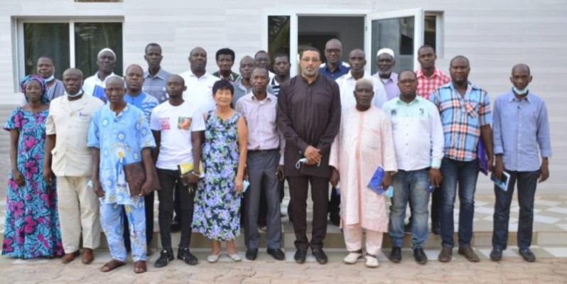 Les acteurs de la filière mangue invités à privilégier la qualité du fruit. (DR)