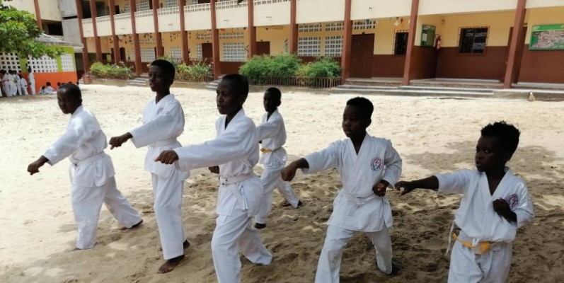 Les jeunes karatékas de la Wado academy, en pleine démonstration. (DR)