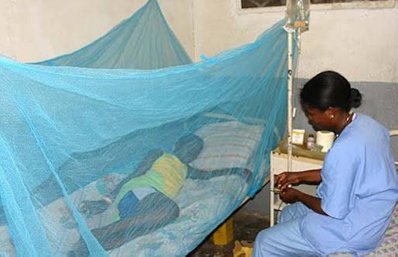 La moustiquaire pour se proteger (DR)
