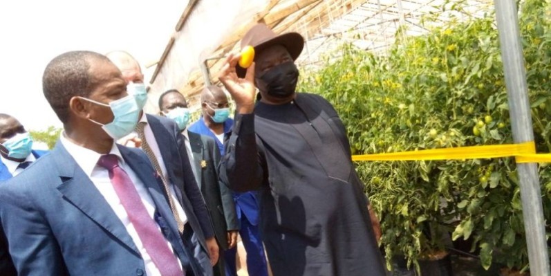 Kobenan Kouassi Adjoumani, présentant avec fierté une tomate en maturité coupée sur les lieux de production à l'Infpa. (DR)