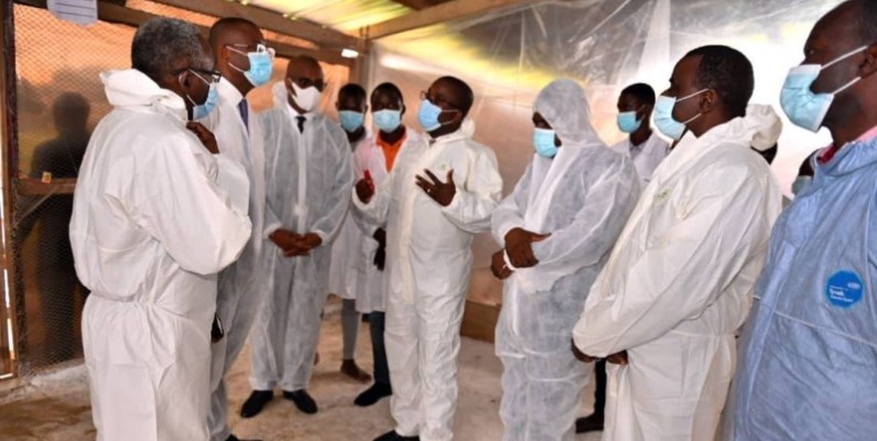 Le ministre Sidi Touré a visité la ferme expérimentale de l’Université Nangui Abrogoua. 