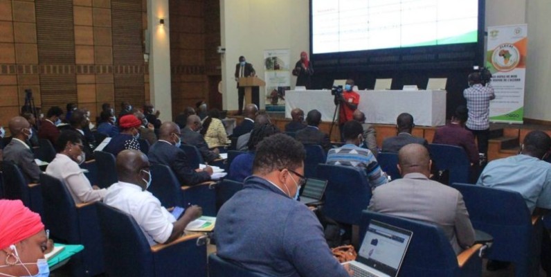La Cn-Zlecaf a invité les patrons à poursuivre la réflexion jusqu’à l’entrée effective de la stratégie nationale dans sa phase opérationnelle. (Photo : DR)