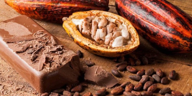 Le cacao, matière première du chocolat. (DR)