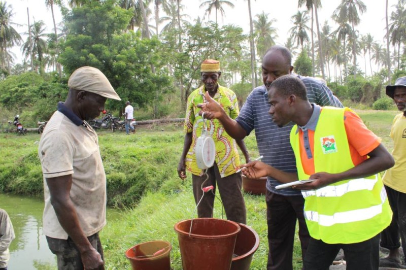 Une trentaine d'agents encadrent les producteurs lors de la phase pilote en cours