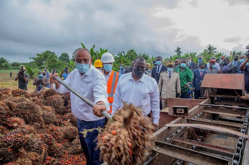 Le Premier ministre Patrick Achi dans une plantation de palmier à huile