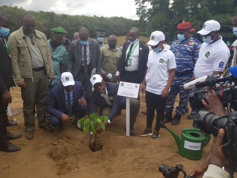 Le ministre des Eaux et Forêts, Alain-Richard Donwahi, (à droite) et son collègue des Transports, Amadou Koné, ont procédé à plusieurs plantings après la séance des discours (Dr)