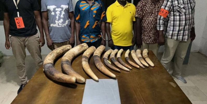 Les trafiquants d'ivoire arrêtés à Marcory. (DR)
