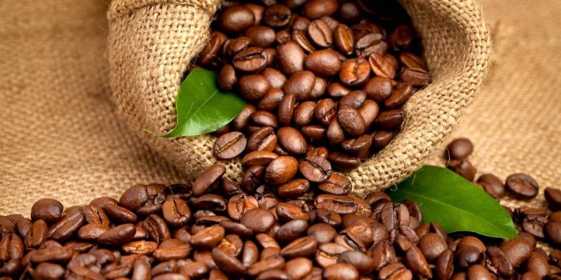 Après la campagne internationale menée pour l’amélioration des revenus des producteurs de cacao, la Cote d’Ivoire entend donner de la voix pour les producteurs de café. (Ph: DR)
