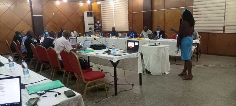 DR. Les participants travaillent à constituer un pool d’experts qui appuieront les stratégies nationales.