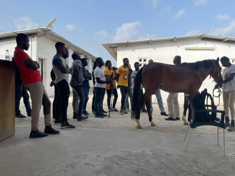 Le sport équestre attire de plus en plus de jeunes ivoiriens