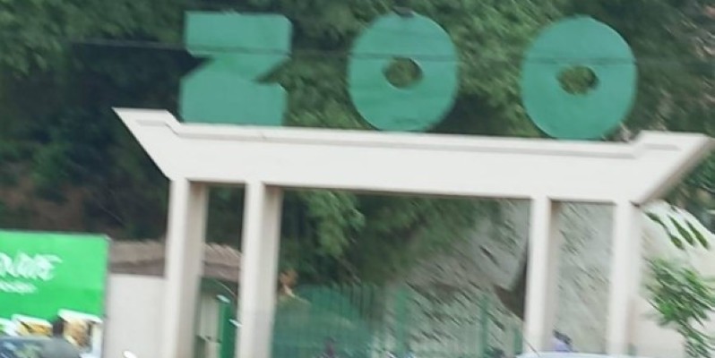 Le Zoo national d'Abidjan a fait peau neuve. (Ph: Patrick N'GUESSAN)