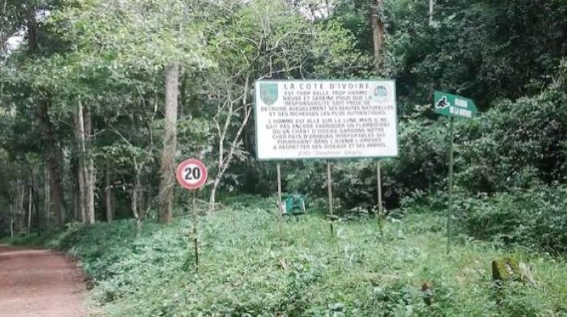 Le gouvernement veut l’implication des populations dans la préservation du Parc national du Banco (sur cette image) et des réserves naturelles de Dahliafleur et de Mabi-Yaya. (Dr)
