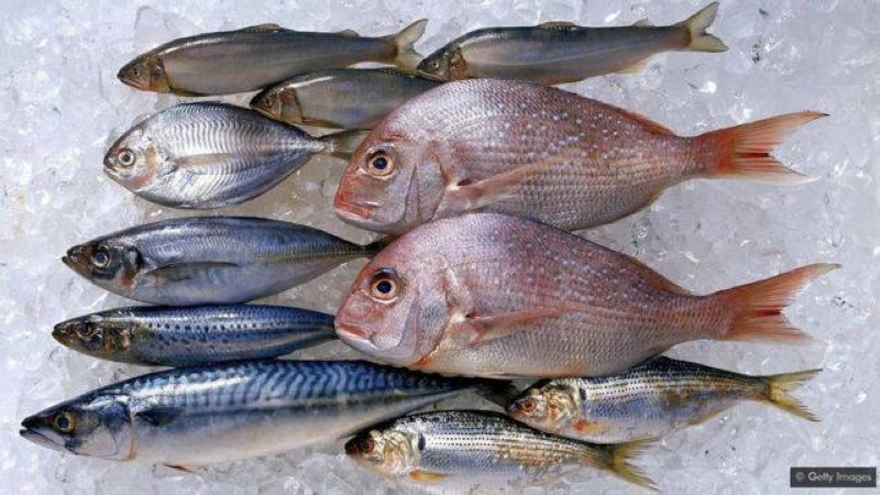 Des poissons seront produire en Côte d'Ivoire pour combler le déficit. (Ph:Dr)