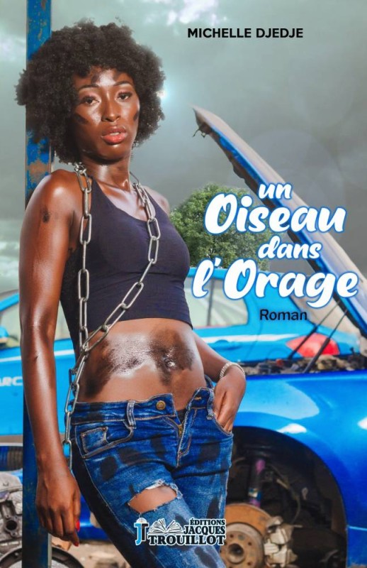 La couverture du roman ''Un oiseau dans l'orage'' (DR)