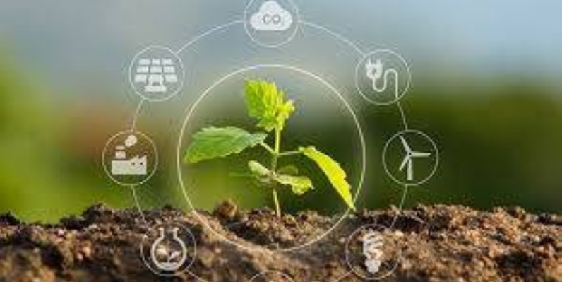 Economie circulaire pour une Afrique développée durablement. (Ph: Dr)