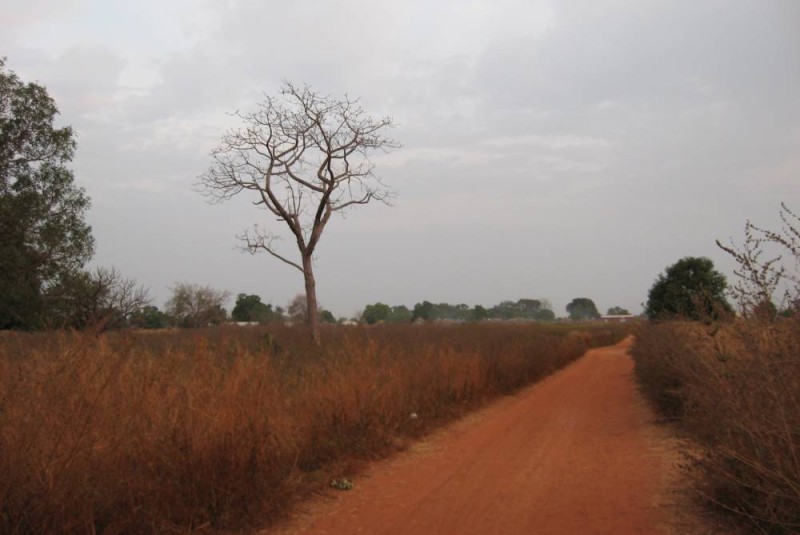 Piste latéritique en Casamance. (Ph: Dr)