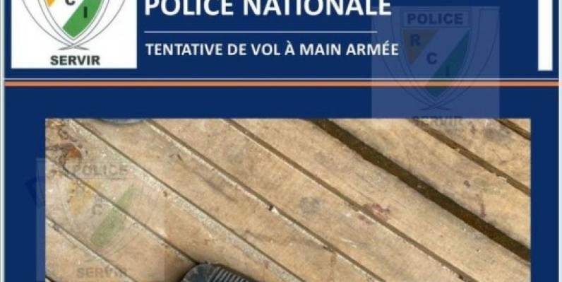Les munitions saisies. (DR)