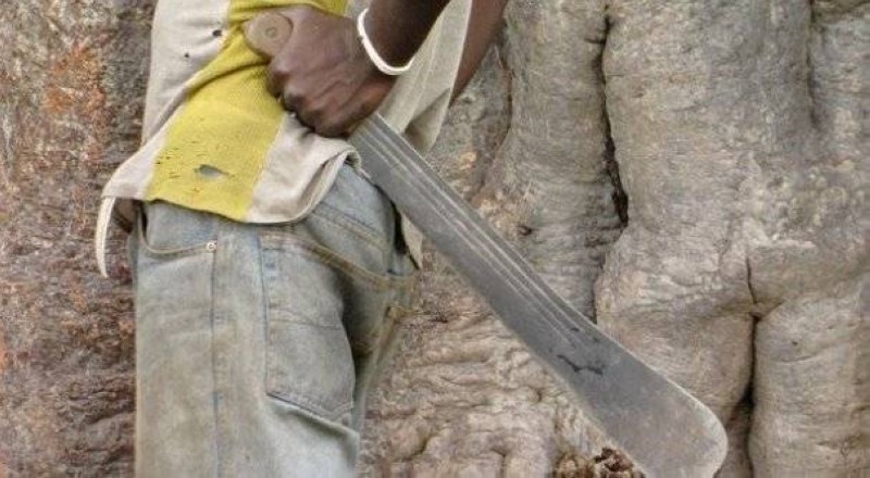 Il a utilisé une machette pour se sectionner le sexe. (DR)