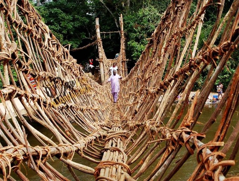 Le pont liane