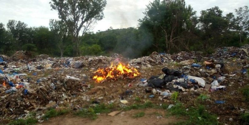 Plusieurs tonnes de poissons avariés incinérés. (DR)