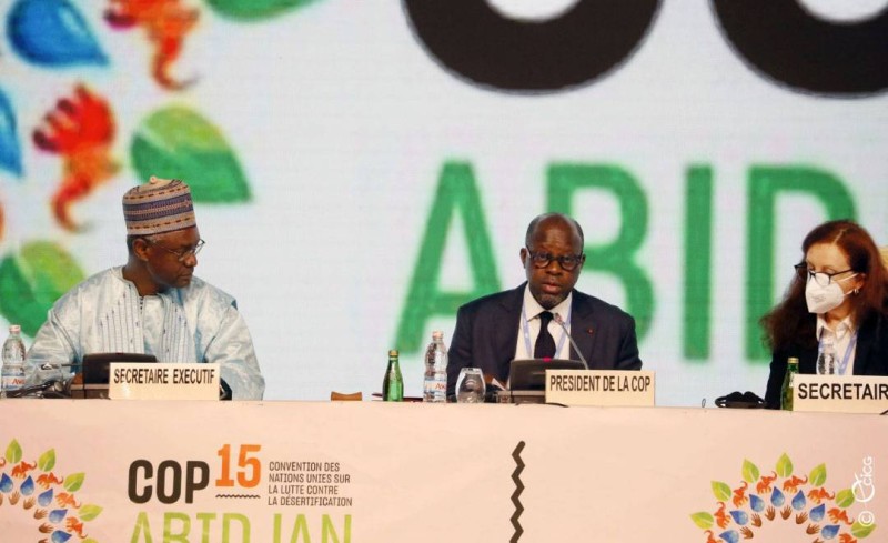Au centre, le président de la COP 15, Alain Richard Donwahi (DR)