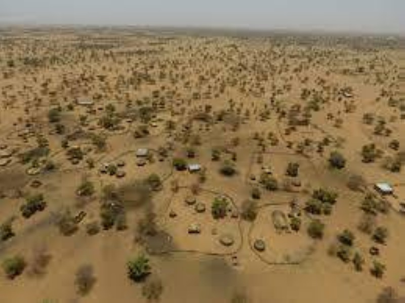 Les investissements fonciers se sont multipliés en Afrique, comme ici au Sahel. © Jérémy Bourgoin, Cirad