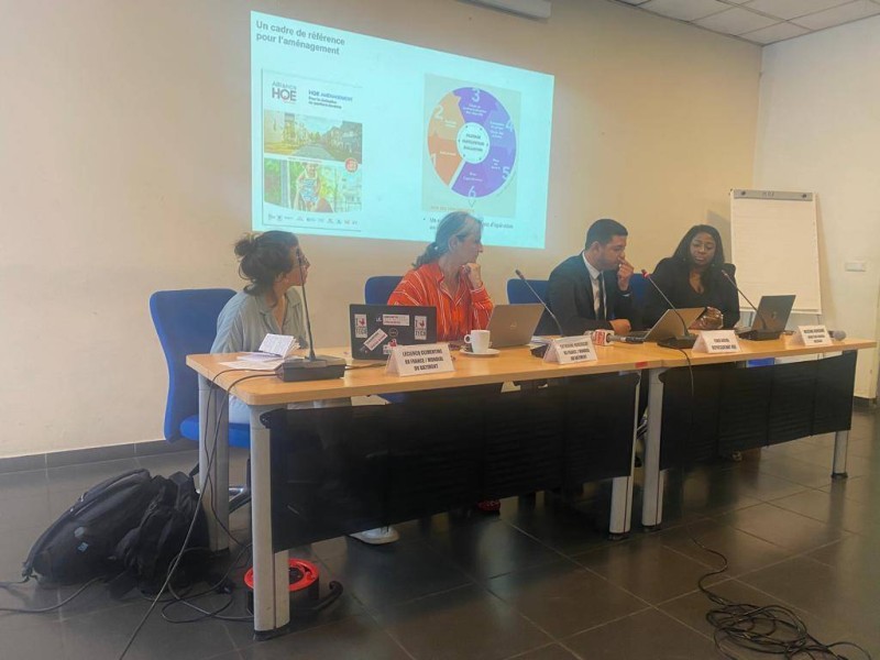 Messina Guikoume,  fondatrice et Ceo de  MESSIBAT International à l’extrême. (DR)