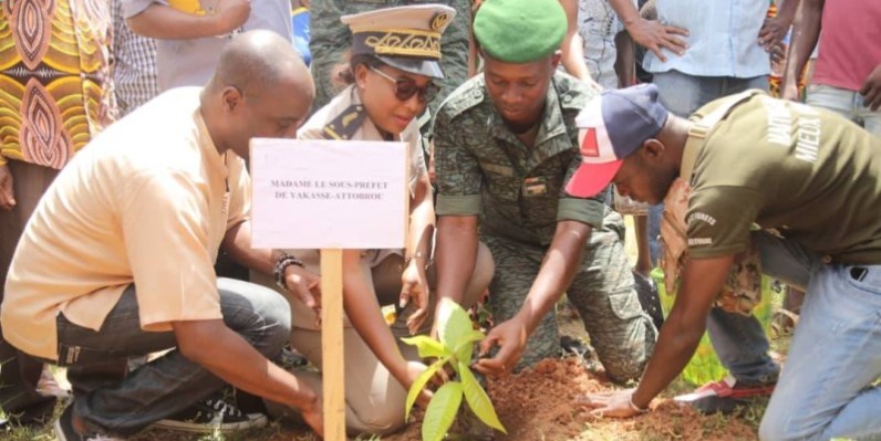 L'Inadci a lancé une opération de planting d'arbres à Yakassé Attobrou. (Ph: Dr)