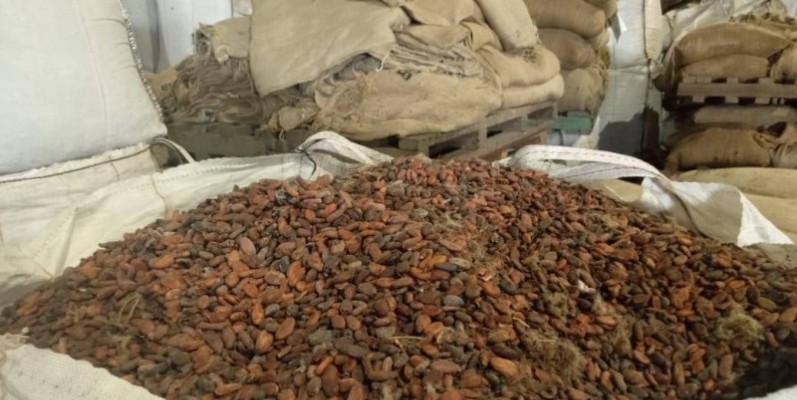 Mr Lola Oualié veut faire de la terre du cacao, une terre de chocolat. 