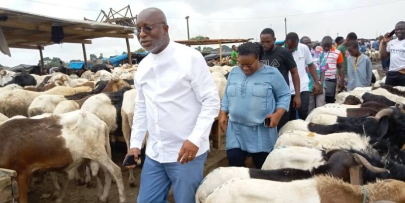 Outre l'abattoir de Port-Bouet, plusieurs sites de bétails sont ouverts à Abidjan.
