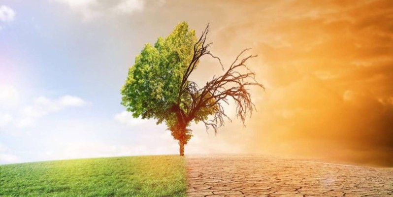 Le changement climatique est devenu une priorité pour les africains (DR)