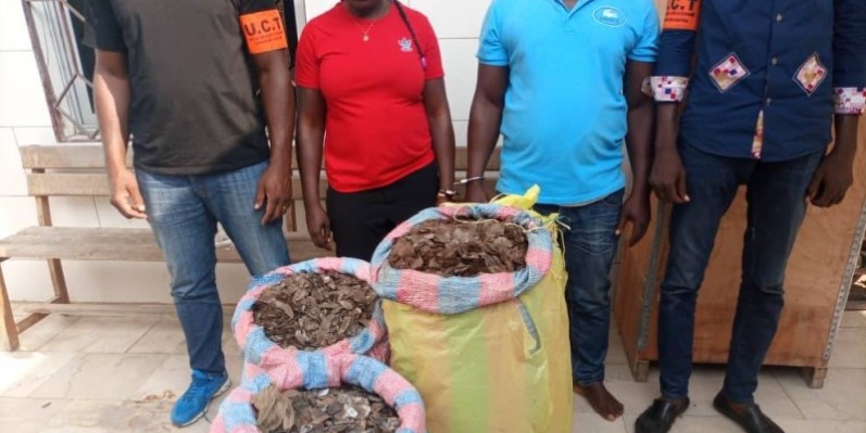 Des présumés trafiquants de pangolins à Abidjan. (DR)