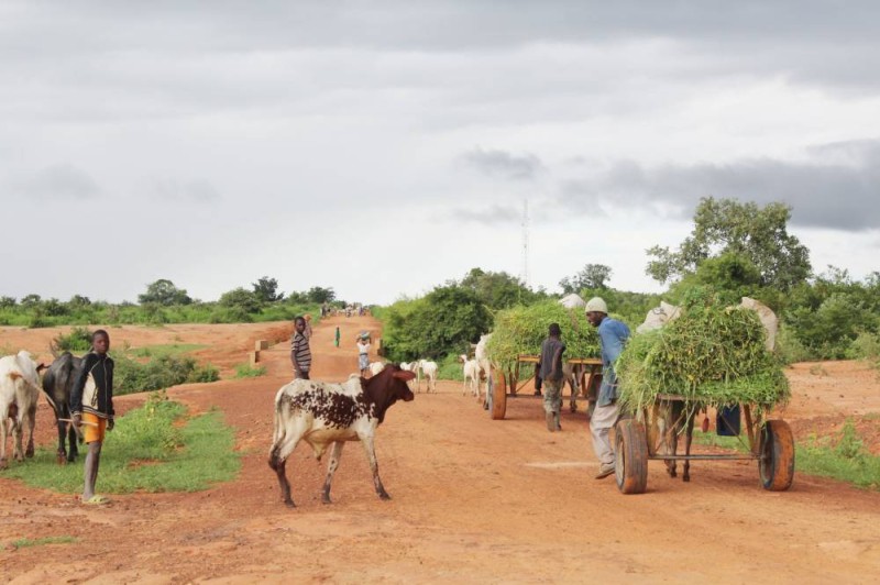 UNDP-bj-Vulnerabilite-ChangementClimatique-Malanville_0