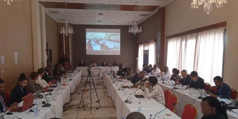 Des fonctionnaires de 29 pays ayant une expérience professionnelle diversifiée dans le domaine des statistiques assistent à cette réunion régionale. (DR)