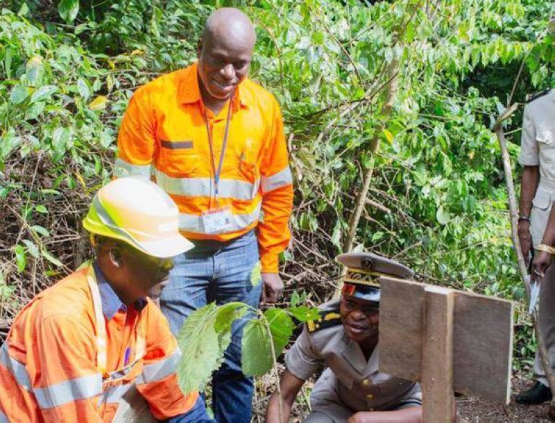 Le préfet de Divo a donné le coup d'envoi du planting d'arbres. (Ph: Dr)