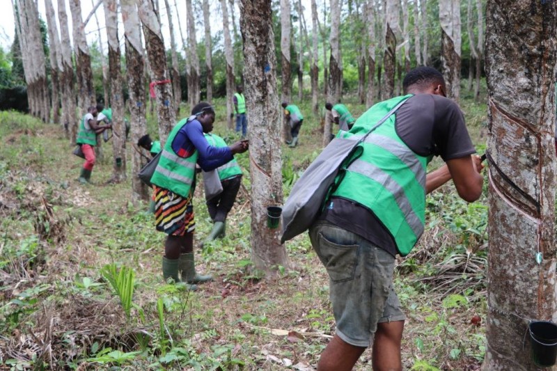 Des jeunes formés expriment leur reconnaissance à l'Apromac. (Ph: Dr)