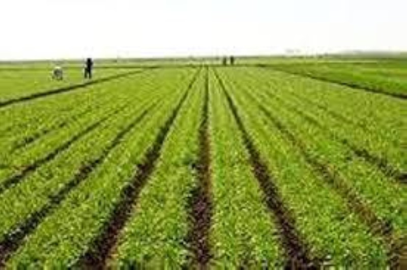 Les agriculteurs ivoiriens se dotent d'un immeuble. (Ph: Dr)