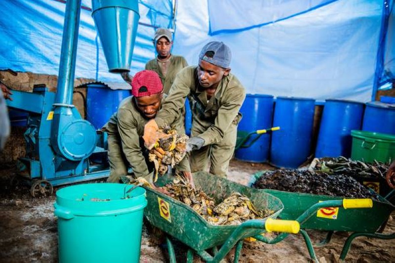 Economie circulaire : Comprendre le système en 3 questions. "Ph: Footprints Africa's "