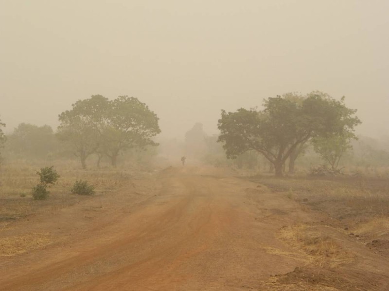 Santé: L’harmattan s'installe …les maladies et les feux de brousse aussi / Ph: DR