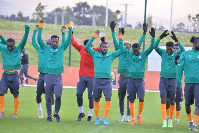 Les éléphants en plein séance d'entrainement (DR)