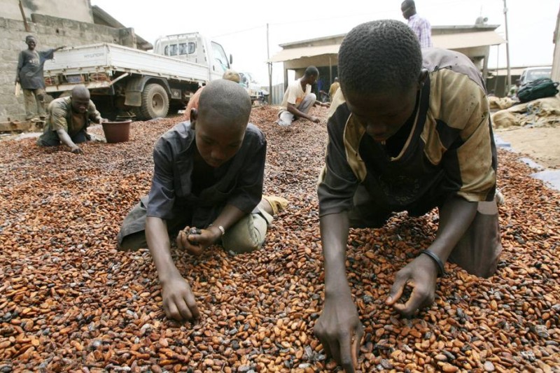 La place des enfants se trouve à l'école et non dans les plantations. (Ph: Dr)