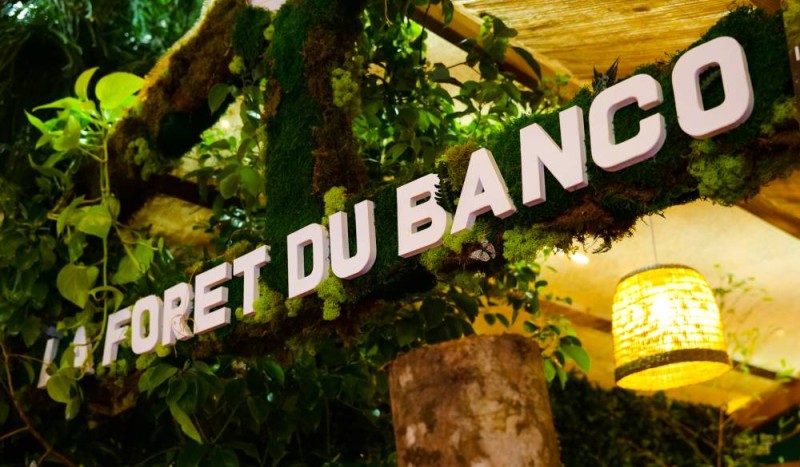 La forêt du banco, le poumon de la ville d'Abidjan