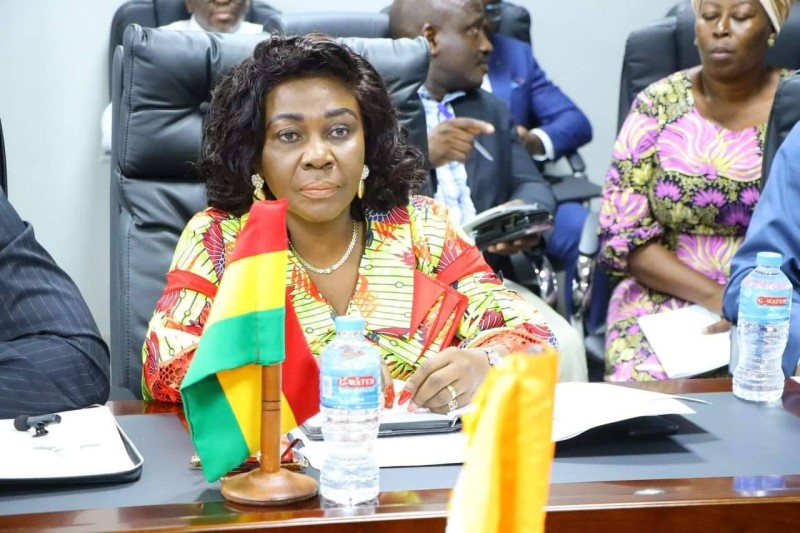La ministre de l'Assainissement et des Ressources en Eau du Ghana, Cécilia Abena Dapaah (Dr)