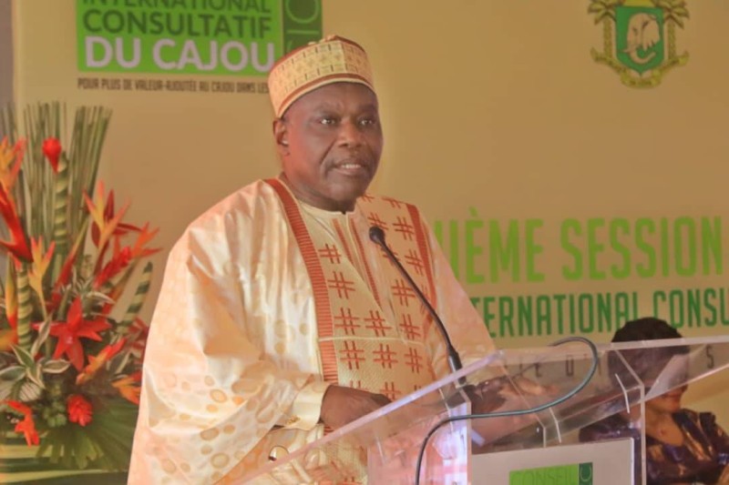 Le ministre camerounais de l'Agriculture procèdent ici au lancement de la réunion des experts du Cicc (DR)